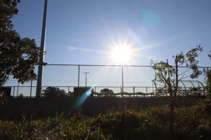 2025-06-21 Bartons Park - IMG_2469_compressed_q50.webp